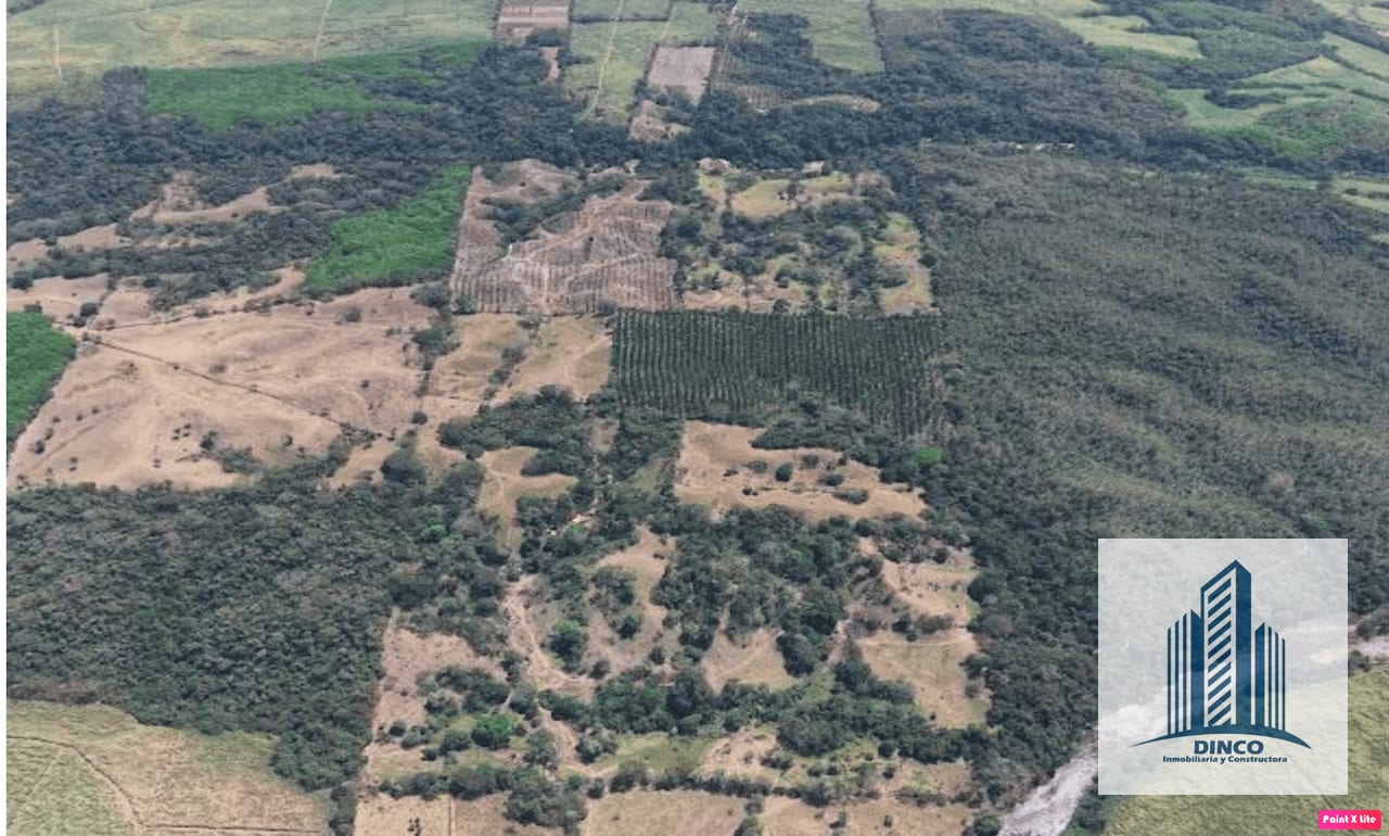 Vendo Finca en Santa Lucía Cotzumalguapa Escuintla — Finca en Venta en Santa Lucía Cotzumalguapa, Escuintla — foto 4 de 5