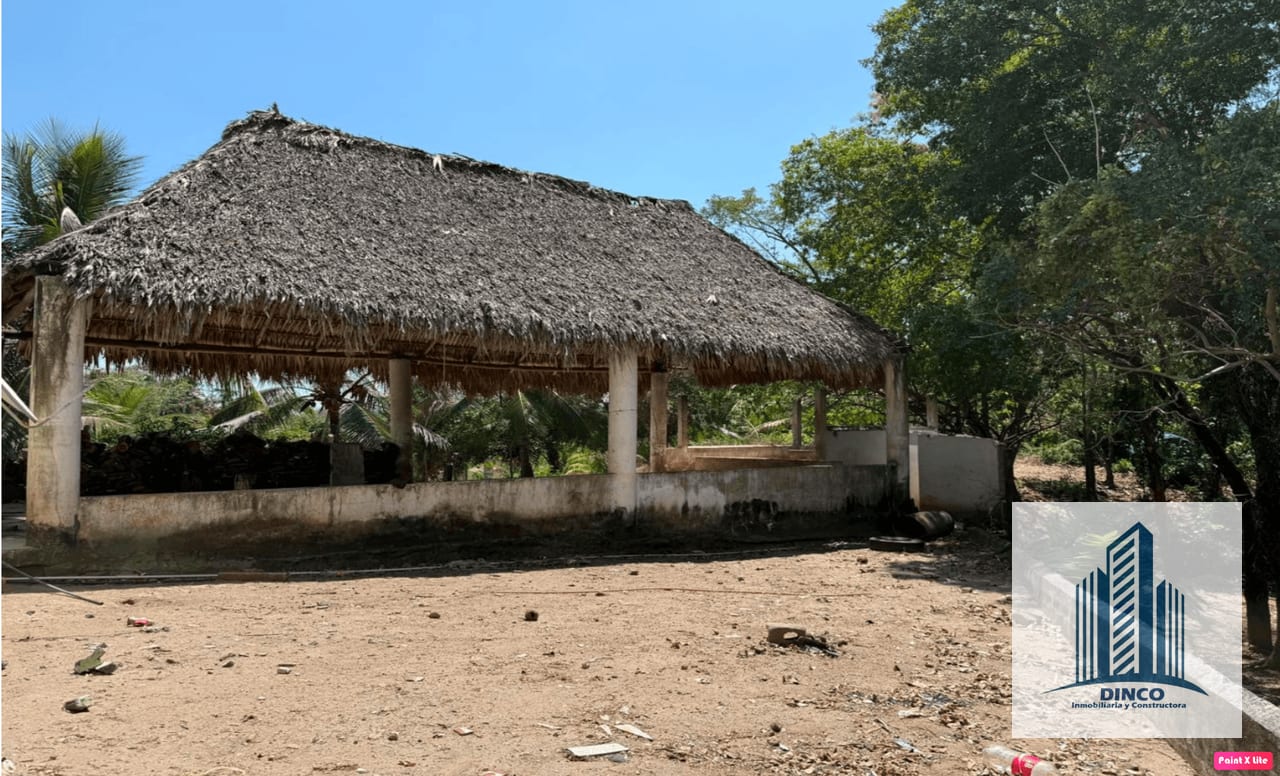 Vendo Finca en Santa Lucía Cotzumalguapa Escuintla — Finca en Venta en Santa Lucía Cotzumalguapa, Escuintla — foto 5 de 5