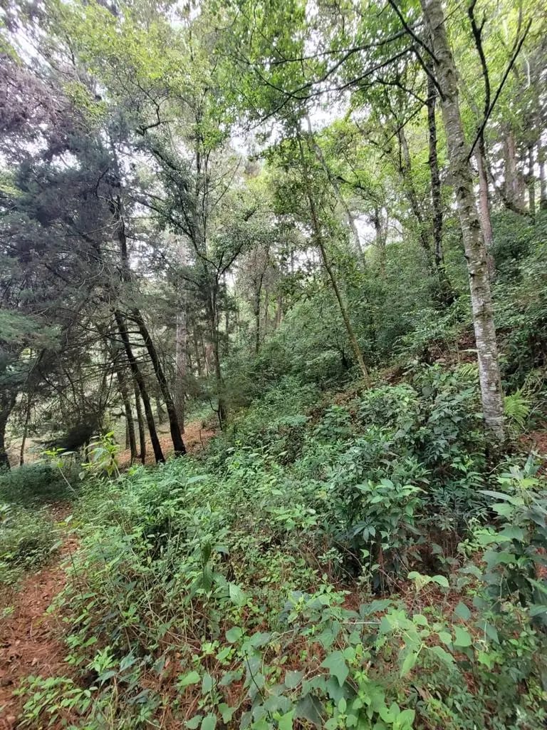 TERRENO EN VENTA, CARRETERA A SAN LUCAS — Terreno en Venta en San Lucas Sacatepéquez, Sacatepéquez — foto 8 de 13