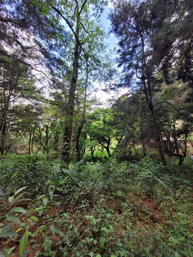 TERRENO EN VENTA, CARRETERA A SAN LUCAS — Terreno en Venta en San Lucas Sacatepéquez, Sacatepéquez — foto 9 de 13
