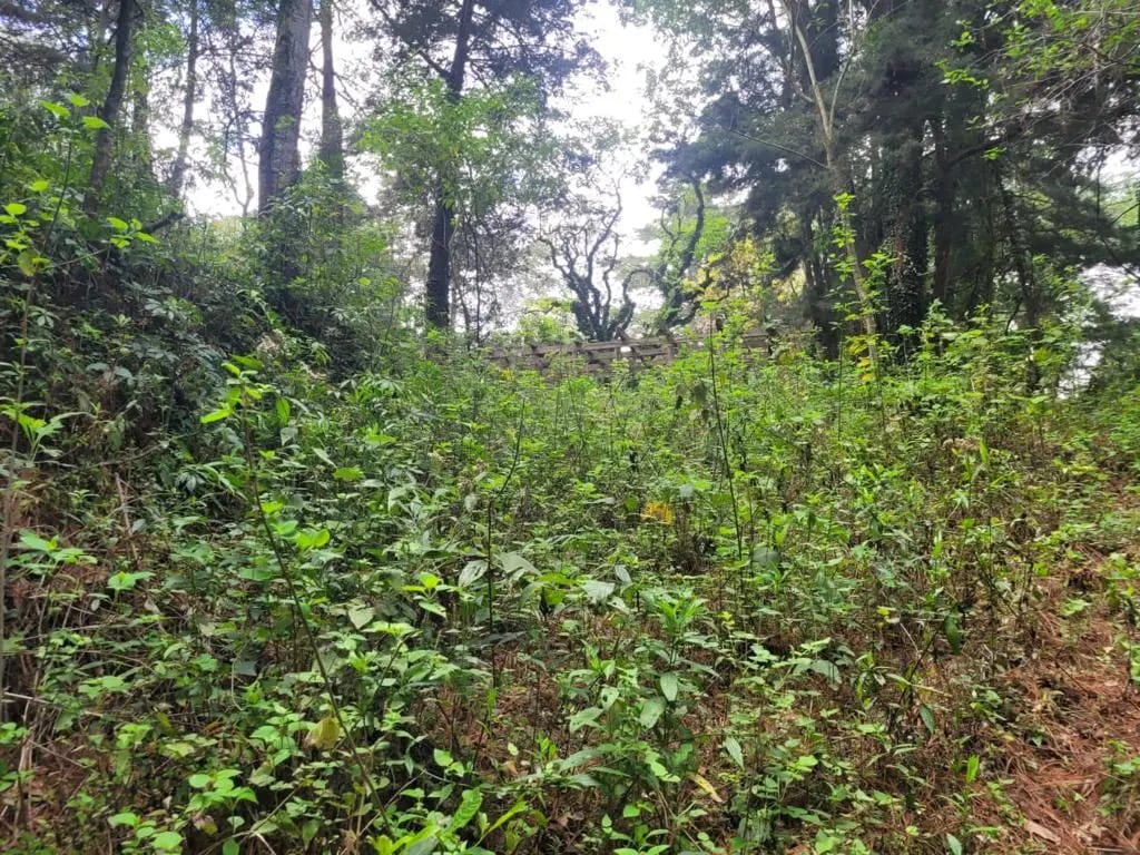 TERRENO EN VENTA, CARRETERA A SAN LUCAS — Terreno en Venta en San Lucas Sacatepéquez, Sacatepéquez — foto 12 de 13