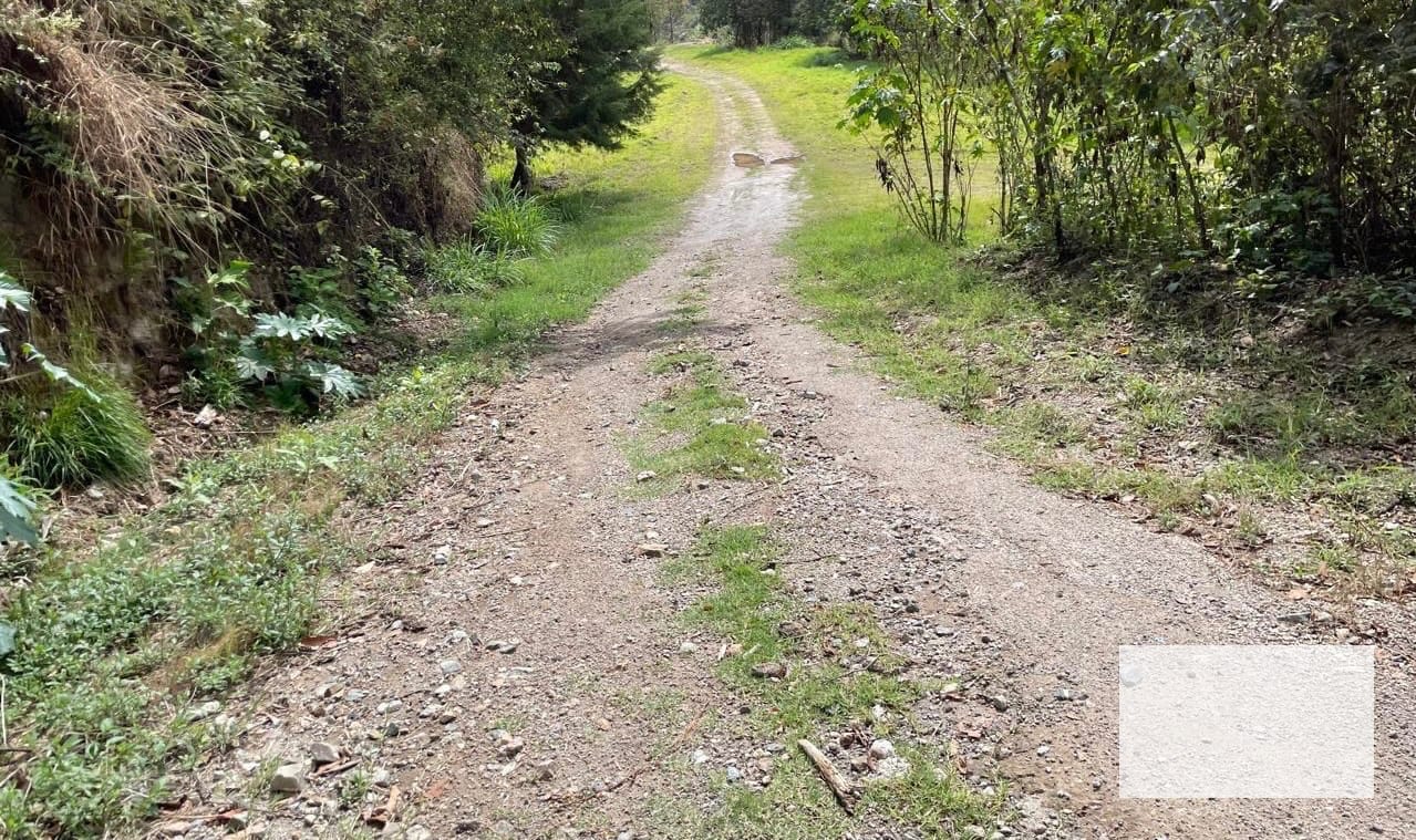Terreno industrial / comercial en renta 3,802v2 Km 9 Carretera al Atlántico — Terreno en Alquiler en Carretera al Atlántico, Guatemala, Ciudad — foto 12 de 13