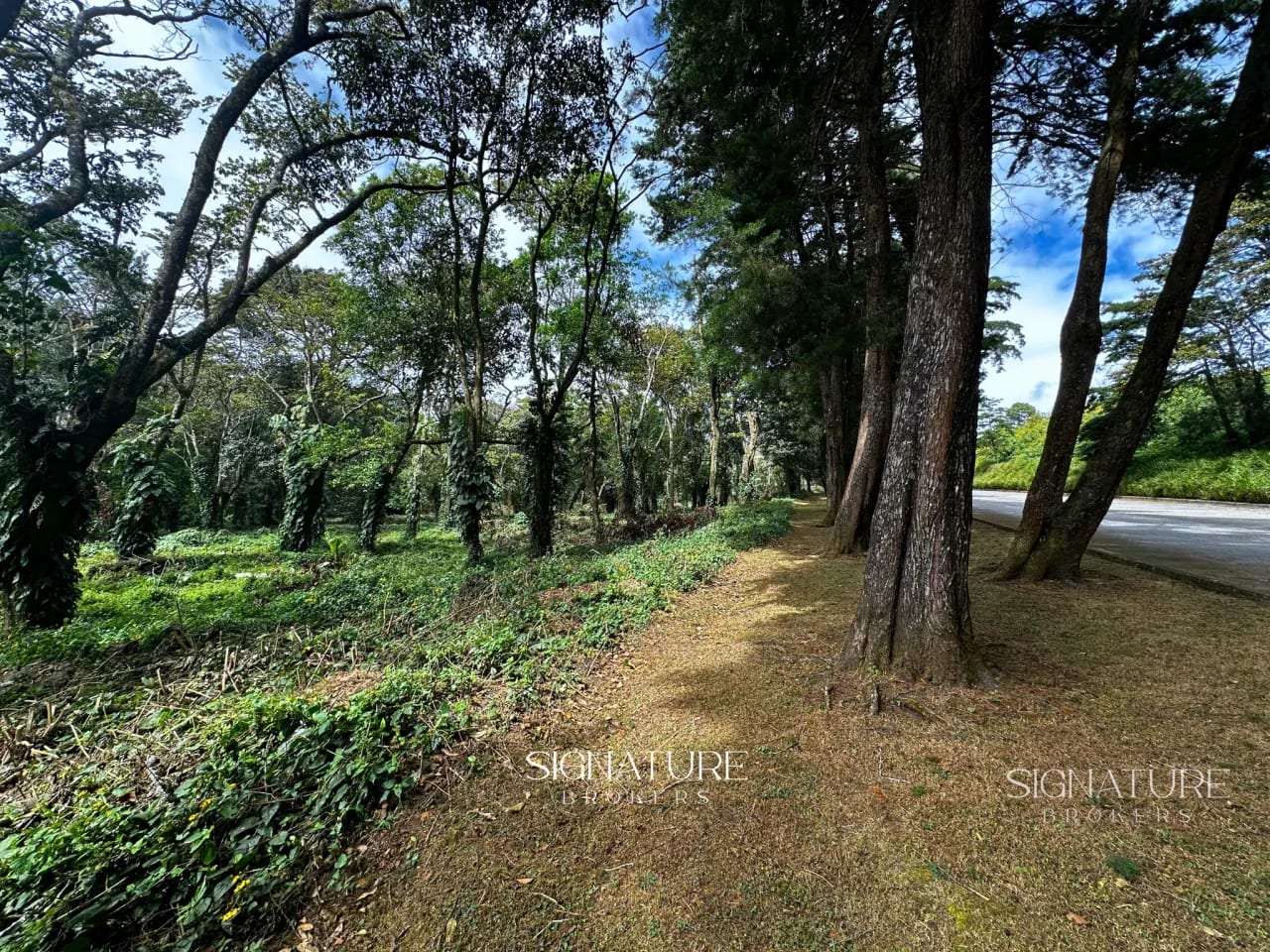 Terreno en venta Premiere Campestre - Km. 22.5 CES — Terreno en Venta en Carretera a El Salvador, Guatemala, Ciudad — foto 5 de 7