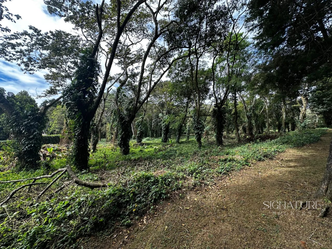 Terreno en venta Premiere Campestre - Km. 22.5 CES — Terreno en Venta en Carretera a El Salvador, Guatemala, Ciudad — foto 7 de 11