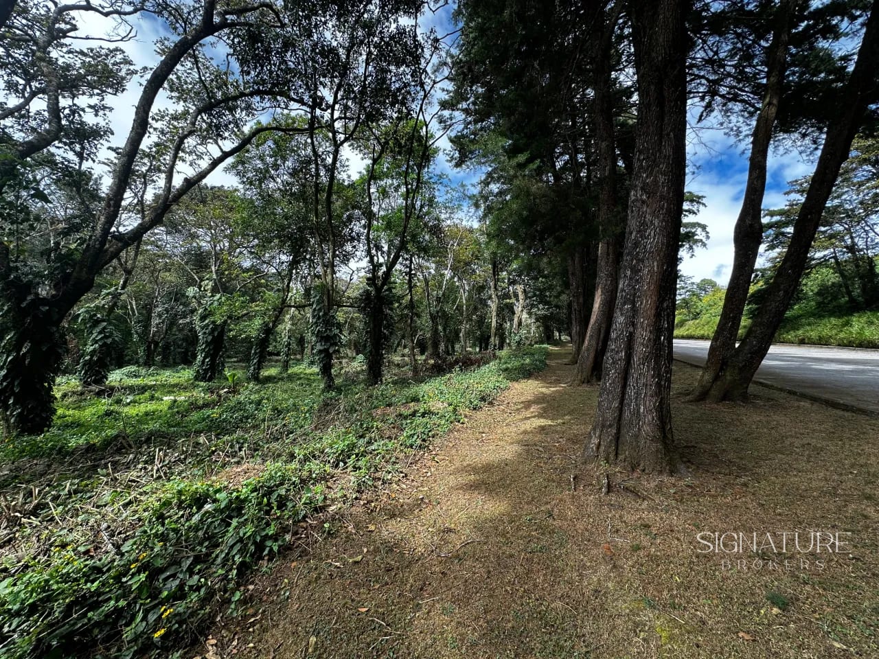 Terreno en venta Premiere Campestre - Km. 22.5 CES — Terreno en Venta en Carretera a El Salvador, Guatemala, Ciudad — foto 8 de 11