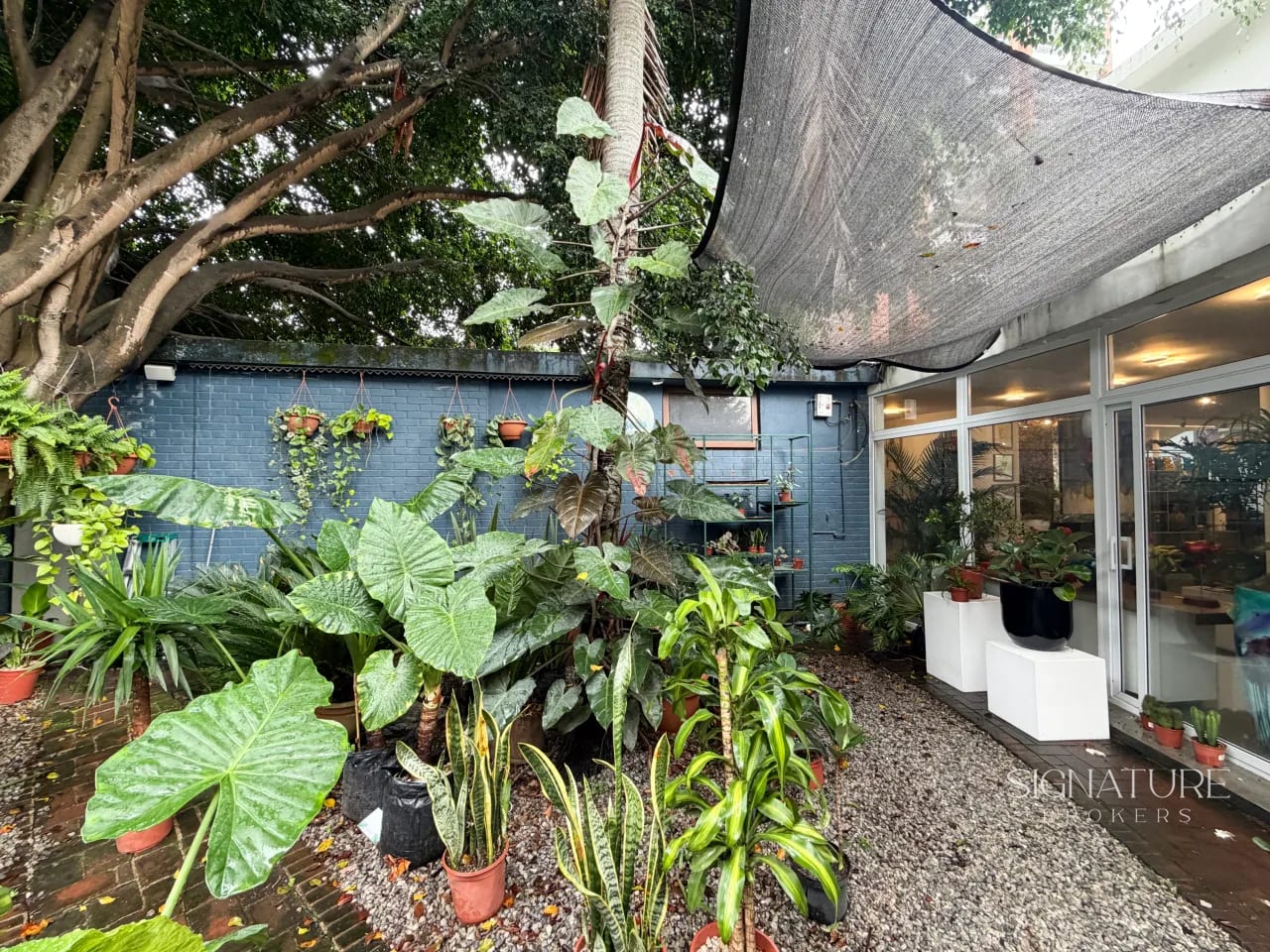 Casa Comercial en Renta zona 14 — Casa en Alquiler en Zona 14, Guatemala, Ciudad — foto 4 de 10