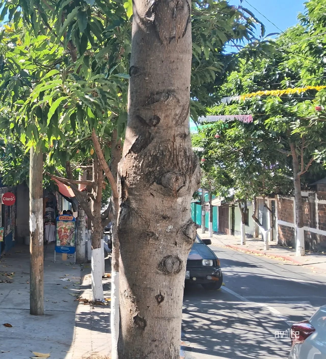 zona 21, Guajitos. Q4,000,000 dos propiedades. — Terreno en Venta en Zona 21, Guatemala, Ciudad — foto 1 de 6