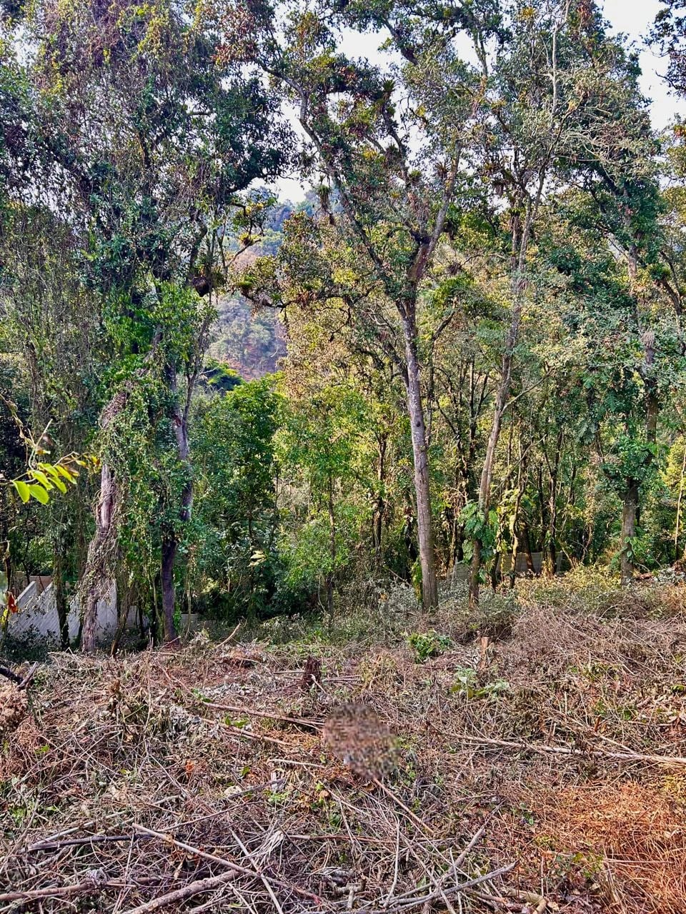 Terreno en venta Santa Rosalia km 12 C. al Salvador — Terreno en Venta en Carretera a El Salvador, Guatemala, Ciudad — foto 2 de 4
