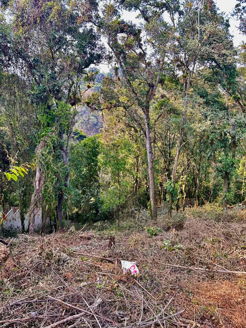 Terreno en venta Santa Rosalia km 12 C. al Salvador — Terreno en Venta en Carretera a El Salvador, Guatemala, Ciudad — foto 1 de 4