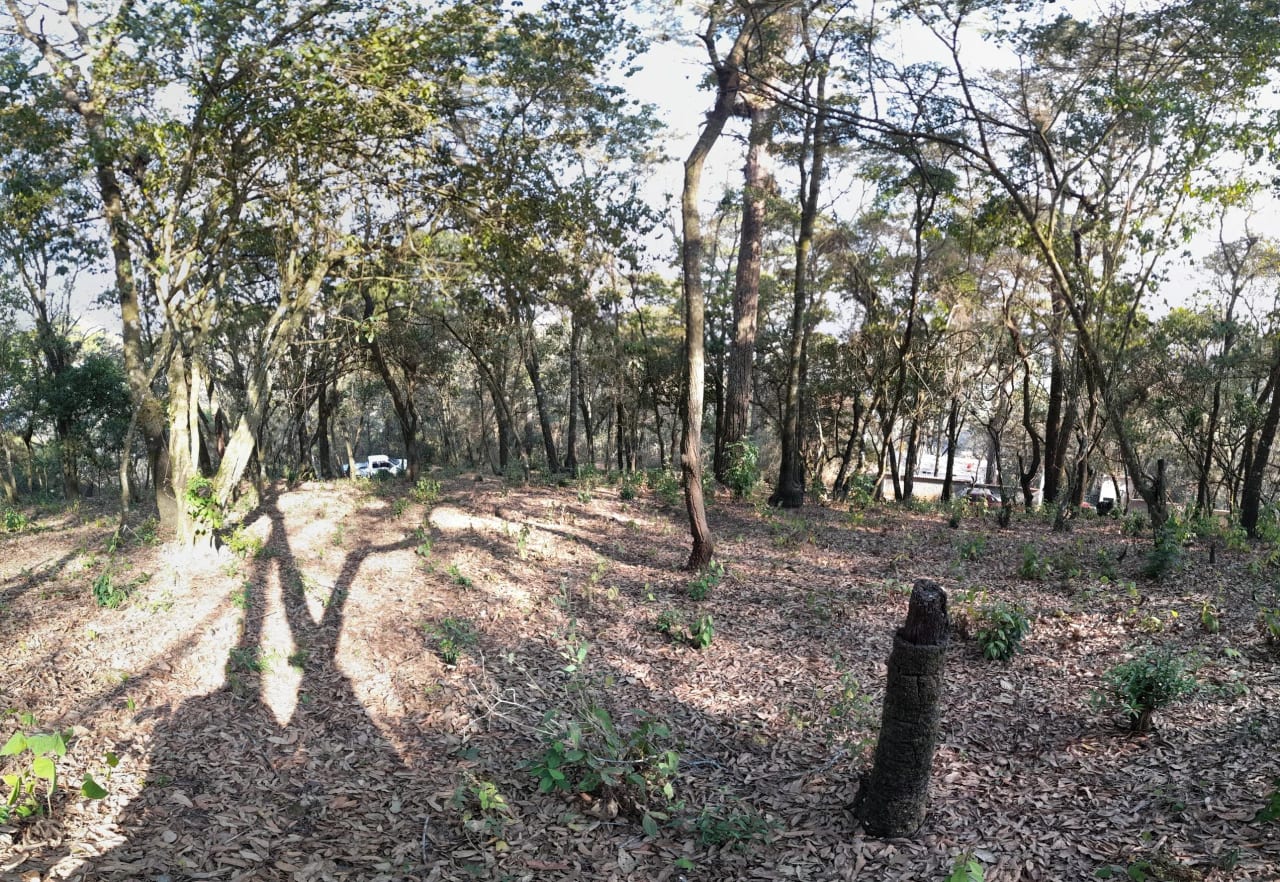Terreno en Venta en El Encinal Zona 7 Mixco — Terreno en Venta en Zona 7 Mixco, Guatemala, Ciudad — foto 2 de 7