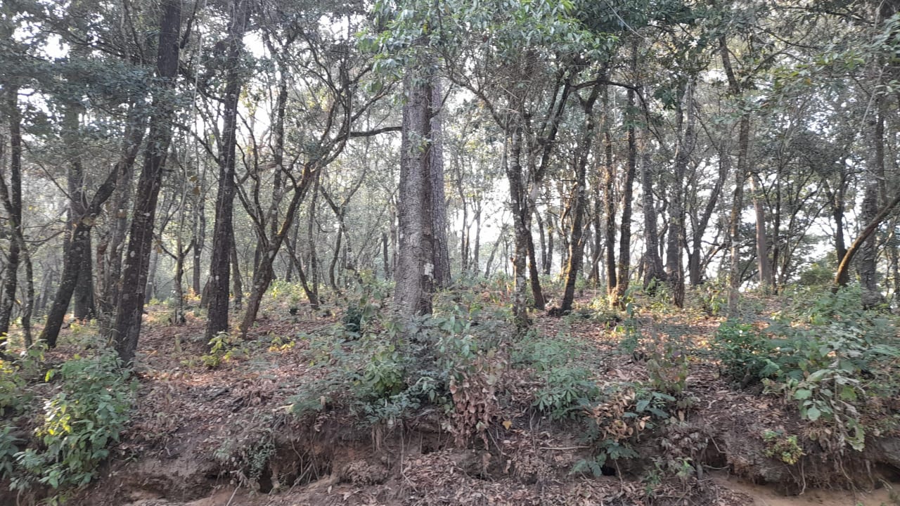 Terreno en Venta en El Encinal Zona 7 Mixco — Terreno en Venta en Zona 7 Mixco, Guatemala, Ciudad — foto 6 de 7