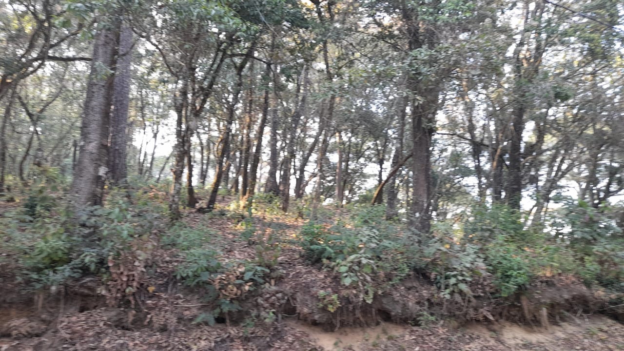 Terreno en Venta en El Encinal Zona 7 Mixco — Terreno en Venta en Zona 7 Mixco, Guatemala, Ciudad — foto 7 de 7