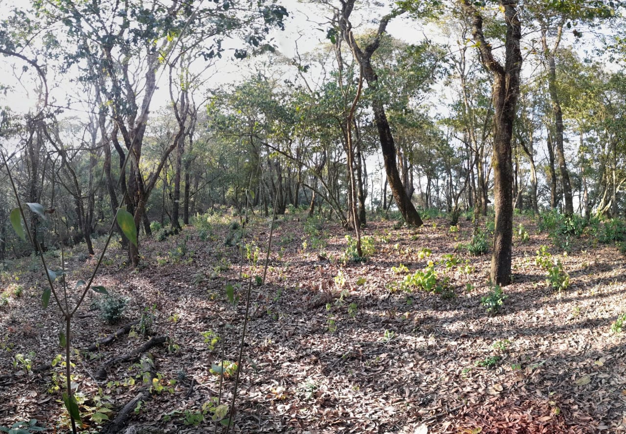 Terreno en Venta en El Encinal Zona 7 Mixco — Terreno en Venta en Zona 7 Mixco, Guatemala, Ciudad — foto 5 de 7