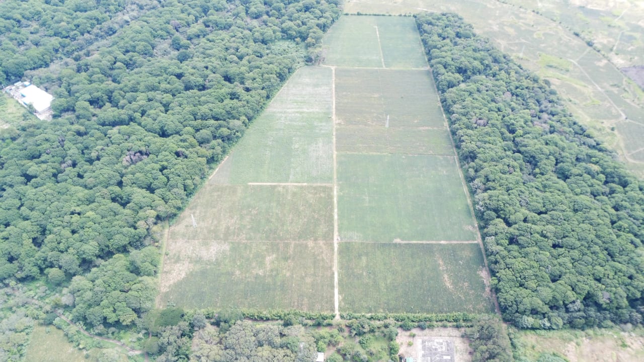 Finca de 17 Manzanas Planas en Venta en CAES Jocotillo — Finca en Venta en Villa Canales, Guatemala, Ciudad — foto 3 de 3