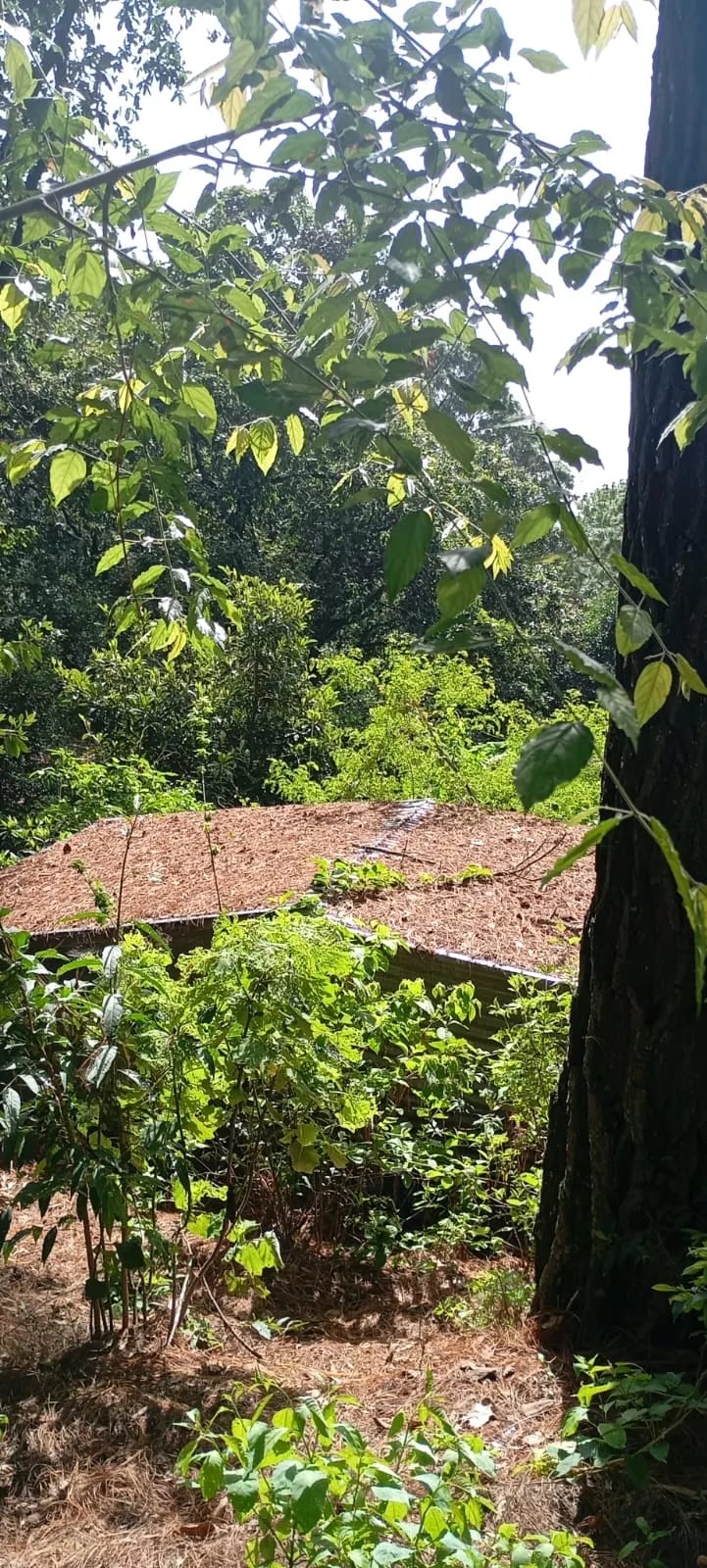 El Encinal - Terreno en venta - Zona 7 de Mixco — Terreno en Venta en El Encinal, Zona 7 Mixco, Guatemala, Ciudad — foto 7 de 9