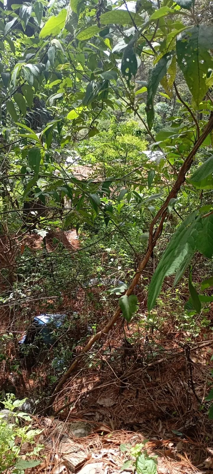 El Encinal - Terreno en venta - Zona 7 de Mixco — Terreno en Venta en El Encinal, Zona 7 Mixco, Guatemala, Ciudad — foto 6 de 9
