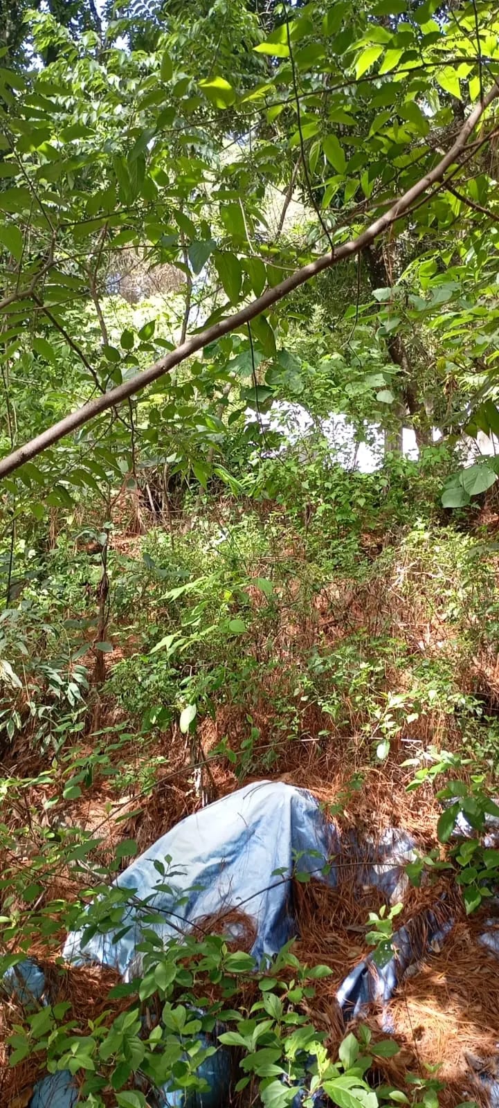 El Encinal - Terreno en venta - Zona 7 de Mixco — Terreno en Venta en El Encinal, Zona 7 Mixco, Guatemala, Ciudad — foto 8 de 9