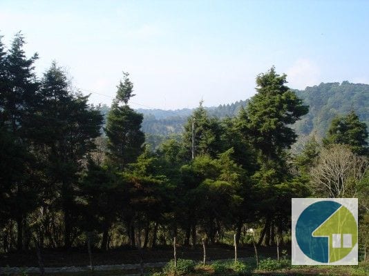 Terreno en Venta, Lotificación Buenos Aires, km. 22 Carretera a El Salvador — Terreno en Venta en Carretera a El Salvador, Guatemala, Ciudad — foto 3 de 15