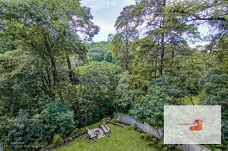 Apartamento en el bosque de Oakland — Apartamento en Alquiler en Oakland I, Zona 10, Guatemala, Ciudad — miniatura 3 de 11
