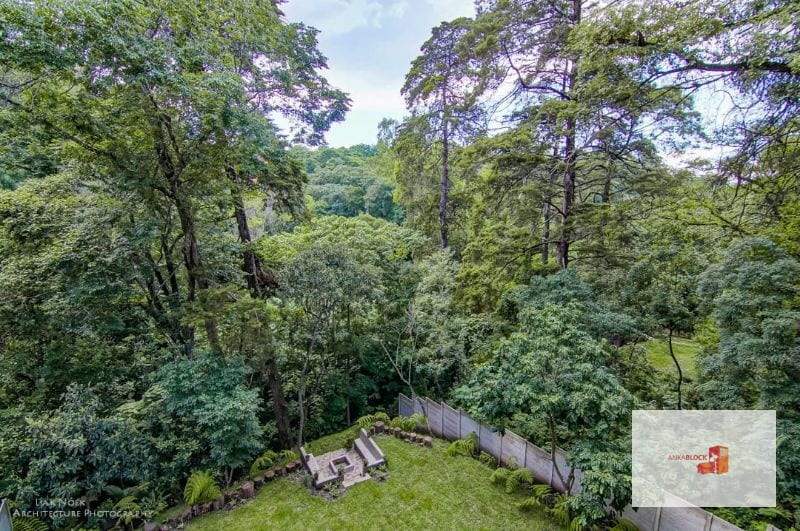 Apartamento en el bosque de Oakland — Apartamento en Alquiler en Oakland I, Zona 10, Guatemala, Ciudad — foto 3 de 11