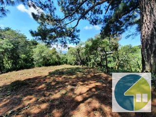 Terreno en Venta, Lotificación Buenos Aires, km. 22 Carretera a El Salvador — Terreno en Venta en Carretera a El Salvador, Guatemala, Ciudad — miniatura 5 de 15
