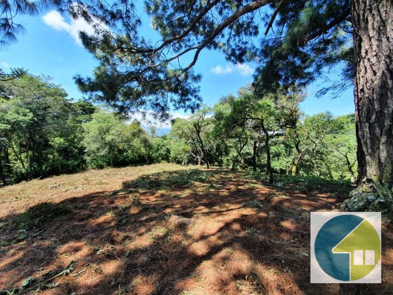Terreno en Venta, Lotificación Buenos Aires, km. 22 Carretera a El Salvador — Terreno en Venta en Carretera a El Salvador, Guatemala, Ciudad — foto 5 de 15