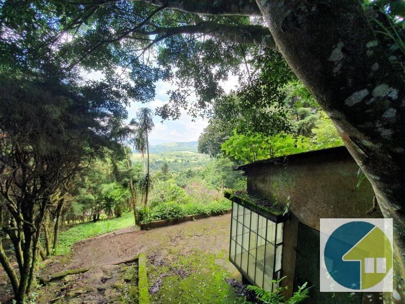 Terreno en Venta en Carretera a Santa Elena Barillas -- TDV2030 — Terreno en Venta en Santa Elena Barillas, Guatemala, Ciudad — foto 6 de 11