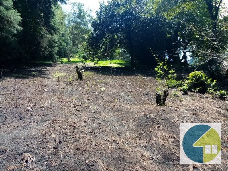 Terreno en Venta en Carretera a Santa Elena Barillas -- TDV2030 — Terreno en Venta en Santa Elena Barillas, Guatemala, Ciudad — foto 10 de 11