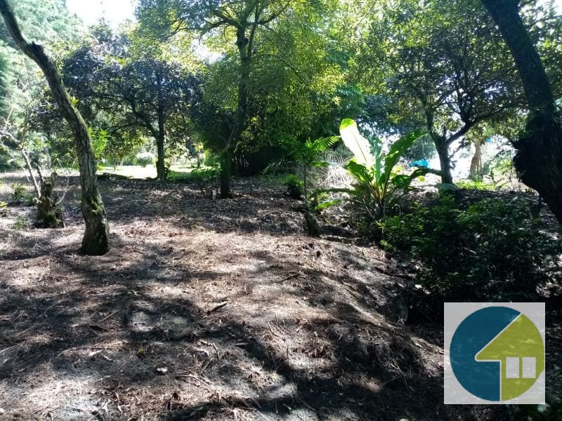Terreno en Venta en Carretera a Santa Elena Barillas -- TDV2030 — Terreno en Venta en Santa Elena Barillas, Guatemala, Ciudad — foto 8 de 11