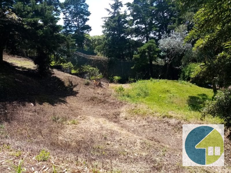Terreno en Venta en Carretera a Santa Elena Barillas -- TDV2030 — Terreno en Venta en Santa Elena Barillas, Guatemala, Ciudad — foto 11 de 11