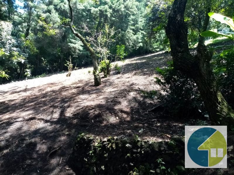 Terreno en Venta en Carretera a Santa Elena Barillas -- TDV2030 — Terreno en Venta en Santa Elena Barillas, Guatemala, Ciudad — foto 9 de 11