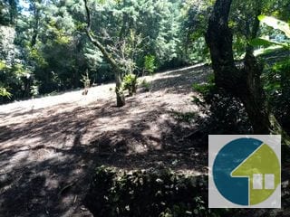 Terreno en Venta en Carretera a Santa Elena Barillas -- TDV2030 — Terreno en Venta en Santa Elena Barillas, Guatemala, Ciudad — miniatura 9 de 11