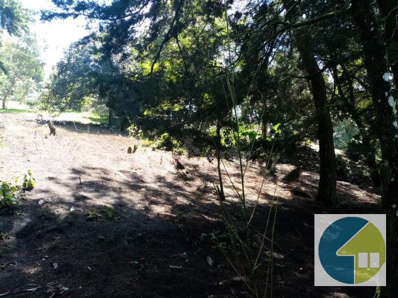 Terreno en Venta en Carretera a Santa Elena Barillas -- TDV2030 — Terreno en Venta en Santa Elena Barillas, Guatemala, Ciudad — foto 7 de 11