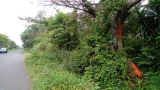 Venta terreno Km. 46.5 Villa Canales — Terreno en Venta en Villa Canales, Guatemala, Ciudad — miniatura 1 de 4