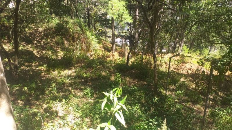 Vendo Terreno, Zona 1 Mixco. — Terreno en Venta en Zona 1 Mixco, Guatemala, Ciudad — foto 3 de 4
