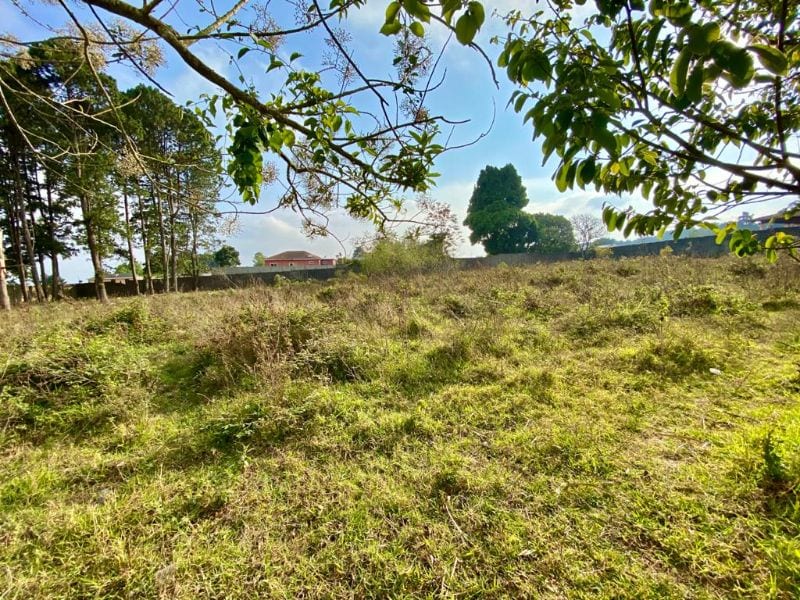 Terreno con potencial de desarrollo por Colegio Village — Terreno en Venta en Carretera a El Salvador, Guatemala, Ciudad — foto 1 de 3