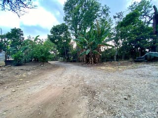 Propiedad en venta sobre la carretera a Villa Canales por Green Rush — Terreno en Venta en Villa Canales, Guatemala, Ciudad — miniatura 5 de 7