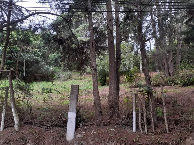IDEAL PARA DESARROLLO TERRENO  KM 16 CARRETERA SALVADOR EN VENTA — Terreno en Venta en Carretera a El Salvador, Guatemala, Ciudad — foto 3 de 4
