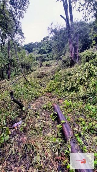 Venta de Terreno en El Encinal Tronco 8 - Mixco Guate — Terreno en Venta en Zona 7 Mixco, Guatemala, Ciudad — miniatura 5 de 11