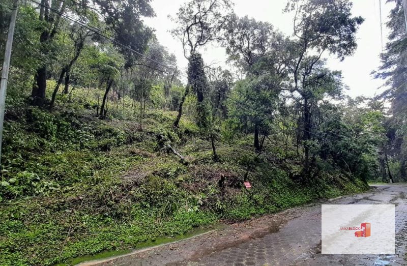 Venta de Terreno en El Encinal Tronco 8 - Mixco Guate — Terreno en Venta en Zona 7 Mixco, Guatemala, Ciudad — foto 2 de 11