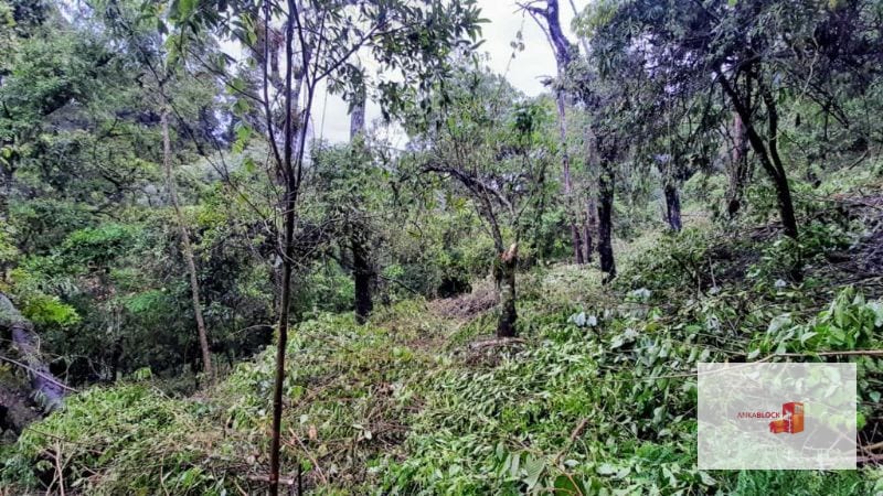 Venta de Terreno en El Encinal Tronco 8 - Mixco Guate — Terreno en Venta en Zona 7 Mixco, Guatemala, Ciudad — foto 4 de 11