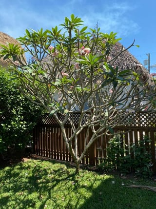 Casa Vacacional en Venta - Puerto Viejo — Casa vacacional en Venta en Monterrico, Santa Rosa — miniatura 15 de 17