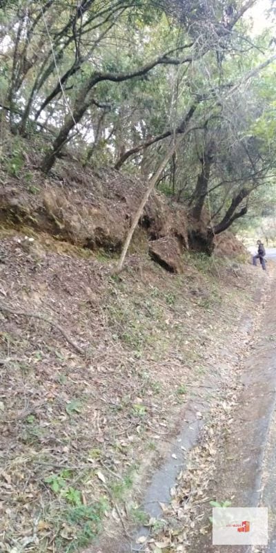 Venta Terreno El Encinal Mixco - Tronco 7  — Terreno en Venta en El Encinal, Zona 7 Mixco, Guatemala, Ciudad — foto 4 de 13