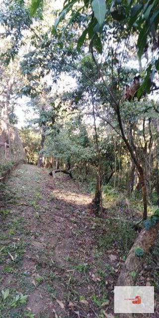 Venta Terreno El Encinal Mixco - Tronco 7  — Terreno en Venta en El Encinal, Zona 7 Mixco, Guatemala, Ciudad — miniatura 9 de 13