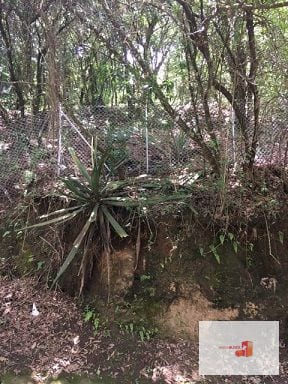 Venta Terreno El Encinal Mixco - Tronco 7  — Terreno en Venta en El Encinal, Zona 7 Mixco, Guatemala, Ciudad — foto 12 de 13