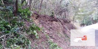 Venta Terreno El Encinal Mixco - Tronco 7  — Terreno en Venta en El Encinal, Zona 7 Mixco, Guatemala, Ciudad — miniatura 10 de 11