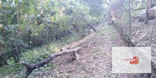 Venta Terreno El Encinal Mixco - Tronco 7  — Terreno en Venta en El Encinal, Zona 7 Mixco, Guatemala, Ciudad — miniatura 13 de 13
