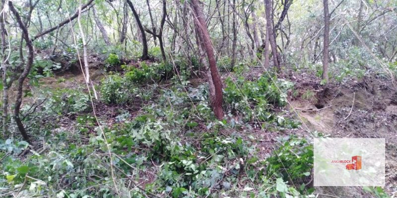 Venta Terreno El Encinal Mixco - Tronco 7  — Terreno en Venta en El Encinal, Zona 7 Mixco, Guatemala, Ciudad — foto 4 de 11