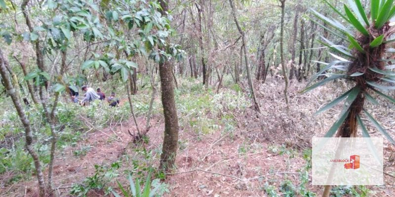 Venta Terreno El Encinal Mixco - Tronco 7  — Terreno en Venta en El Encinal, Zona 7 Mixco, Guatemala, Ciudad — foto 8 de 11
