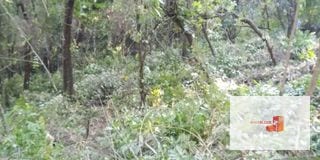 Venta Terreno El Encinal Mixco - Tronco 7  — Terreno en Venta en El Encinal, Zona 7 Mixco, Guatemala, Ciudad — miniatura 2 de 13